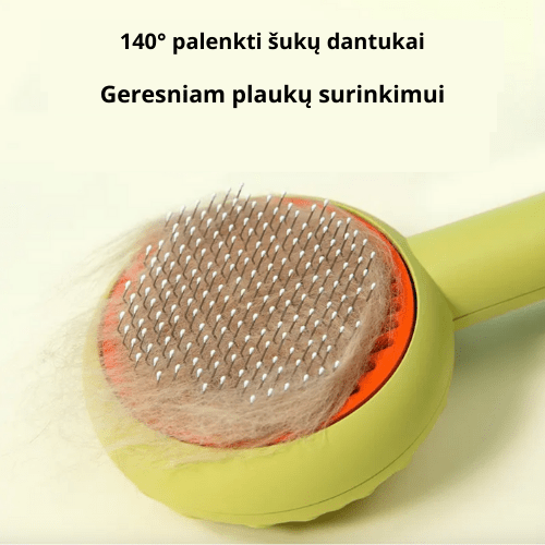 Savaime išsivalančios ir masažuojančios gynūnų šukos