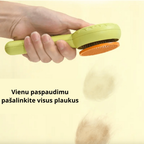 Savaime išsivalančios ir masažuojančios gynūnų šukos